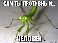Сам ты противный... человек