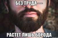 Без труда — растет лишь борода