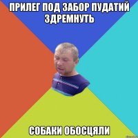 прилег под забор пудатий здремнуть собаки обосцяли