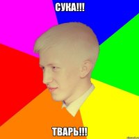 СУКА!!! ТВАРЬ!!!