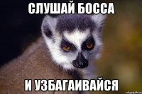 слушай босса и узбагаивайся