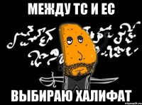 между ТС и ЕС выбираю халифат