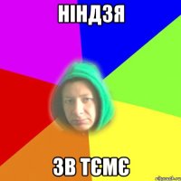 Ніндзя Зв тємє