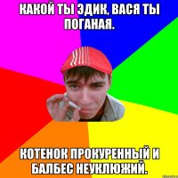 Какой ты Эдик, Вася ты поганая. Котенок прокуренный и балбес неуклюжий.