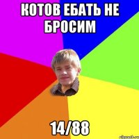 Котов ебать не бросим 14/88