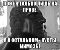 ПОЭТ Я ТОЛЬКО ЛИШЬ НА ПРОЗЕ, А В ОСТАЛЬНОМ - КУСТЫ МИМОЗЫ.