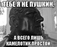 ТЕБЕ Я НЕ ПУШКИН, А ВСЕГО ЛИШЬ КАМЕЛОТИК ПРОСТОЙ.