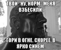 ТВОИ "НУ, НОРМ" МЕНЯ ВЗБЕСИЛИ. ГОРИ В ОГНЕ. СКОРЕЕ, В ЯРКО СИНЕМ.