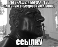 ТЫ ЗНАЕШЬ, Я БЫ ДАЛ ТЕБЕ ЗАВЕЧНУЮ В САУДОВСКУЮ АРАВИЮ ССЫЛКУ