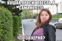 кошка просит поесть, а сама не ест! что за херня?