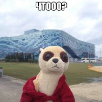 Чтооо? 