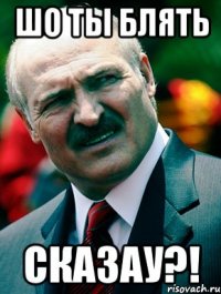 ШО ТЫ БЛЯТЬ СКАЗАУ?!