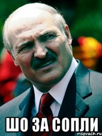  ШО ЗА СОПЛИ