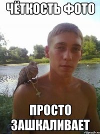 чёткость фото просто зашкаливает