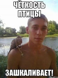 чёткость птицы зашкаливает!