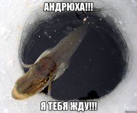 Андрюха!!! я тебя жду!!!