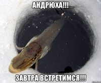 Андрюха!!! завтра встретимся!!!