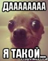 Даааааааа я такой...