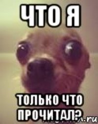 Что я только что прочитал?