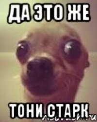 Да это же Тони Старк