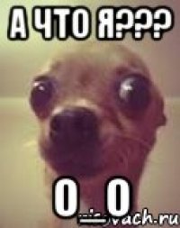 А что я??? О_о