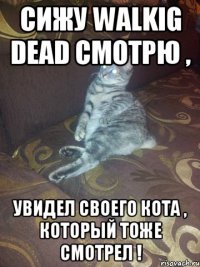 сижу walkig dead смотрю , увидел своего кота , который тоже смотрел !