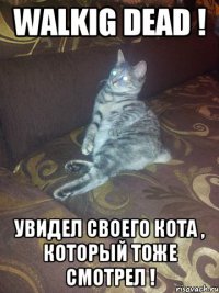 walkig dead ! увидел своего кота , который тоже смотрел !