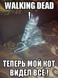 walking dead ! теперь мой кот видел все !