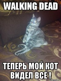 walking dead теперь мой кот видел все !