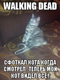 walking dead сфоткал кота когда смотрел , теперь мой кот видел все !
