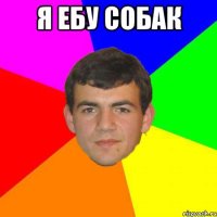 я ебу собак 