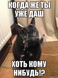 когда же ты уже ДАШ хоть кому нибудь!?