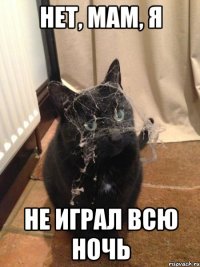 НЕТ, МАМ, Я НЕ ИГРАЛ ВСЮ НОЧЬ