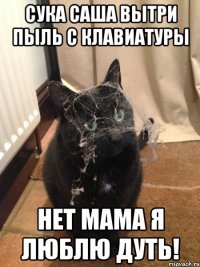 сука саша вытри пыль с клавиатуры нет мама я люблю дуть!