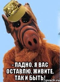  - Ладно, я вас оставлю, живите, так и быть!