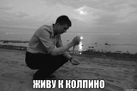  Живу к Колпино