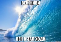 ВЕК ЖИВИ век в зал ходи