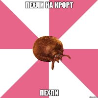 пехли на крорт пехли