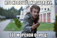 Кто не пошёл на зарядку, тот морской огурец!