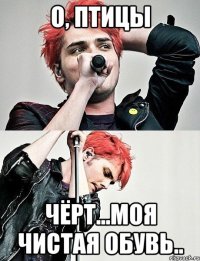 О, птицы Чёрт...моя чистая обувь..