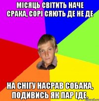 місяць світить наче срака, сорі сяють де не де на снігу насрав собака, подивись як пар іде.