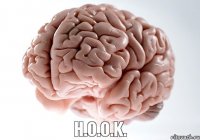   H.O.O.K.