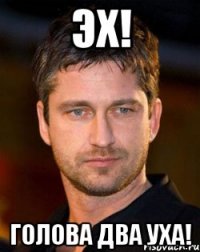 эх! голова два уха!
