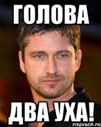 голова два уха!