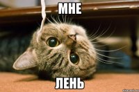 мне лень