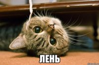  лень