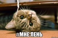  #мне лень