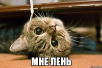  мне лень