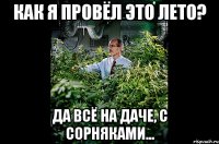 Как я провёл это лето? да всё на даче, с сорняками...
