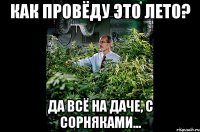 Как провёду это лето? да всё на даче, с сорняками...